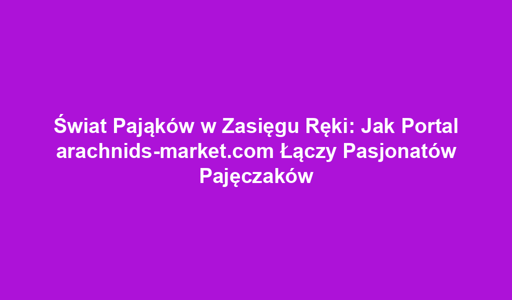 Świat Pająków w Zasięgu Ręki: Jak Portal arachnids-market.com Łączy Pasjonatów Pajęczaków