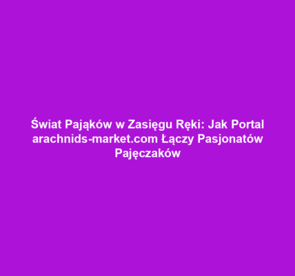 Świat Pająków w Zasięgu Ręki: Jak Portal arachnids-market.com Łączy Pasjonatów Pajęczaków